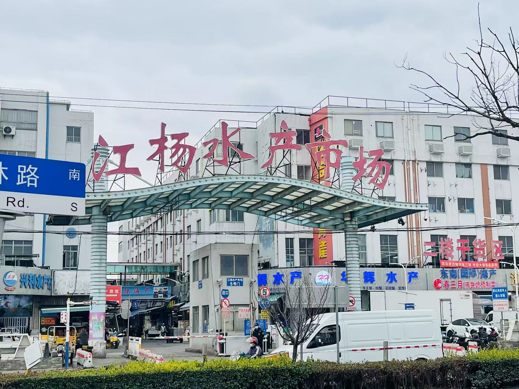 江杨.jpg